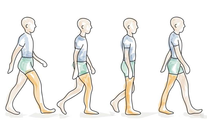 Iyengar yoga video thumbnail: Exploratory Study on Effects of a Gentle Iyengar Yoga Program on Gait in the Elderly