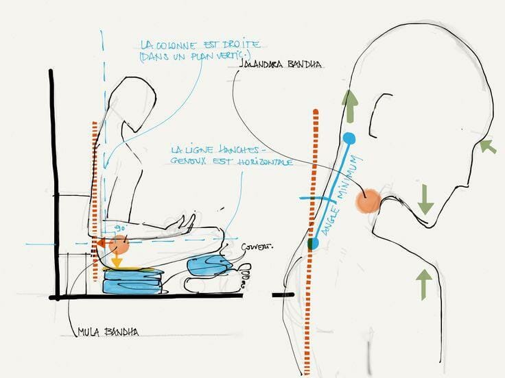 Head and sitting position in Pranayama illustration