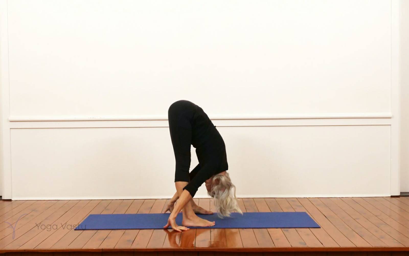 Online Iyengar yoga videos | Experienced level restorative and pranayama (414)