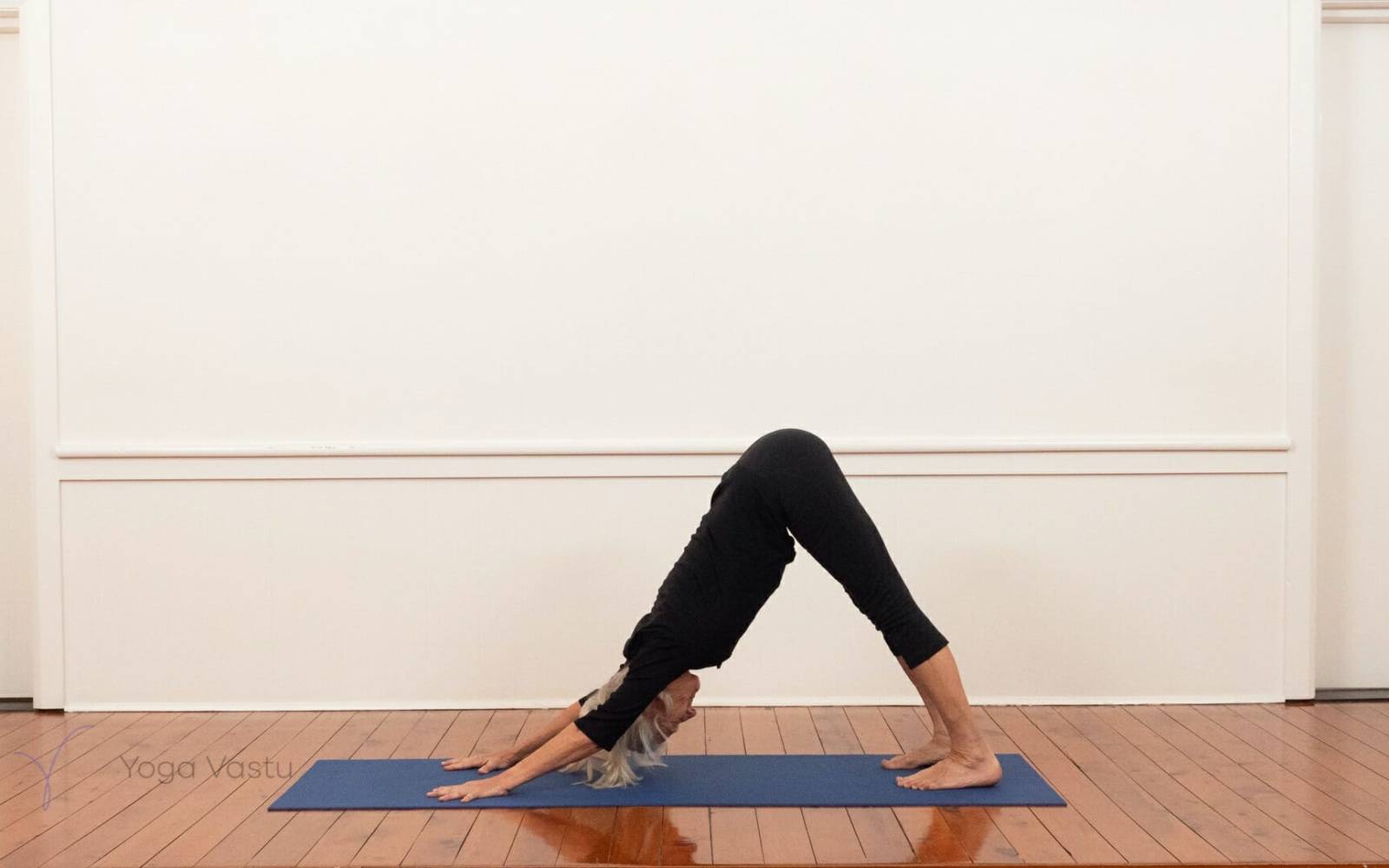 Online Iyengar yoga videos | Forward bends with short timings for a extended range of poses (412)