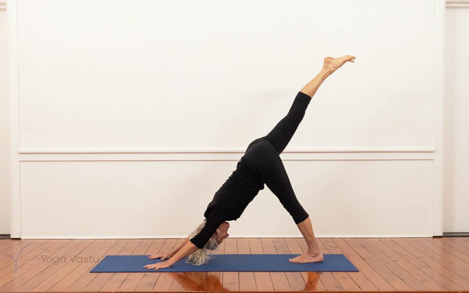 Online Iyengar yoga videos | Forward bends with short timings for a extended range of poses (412)