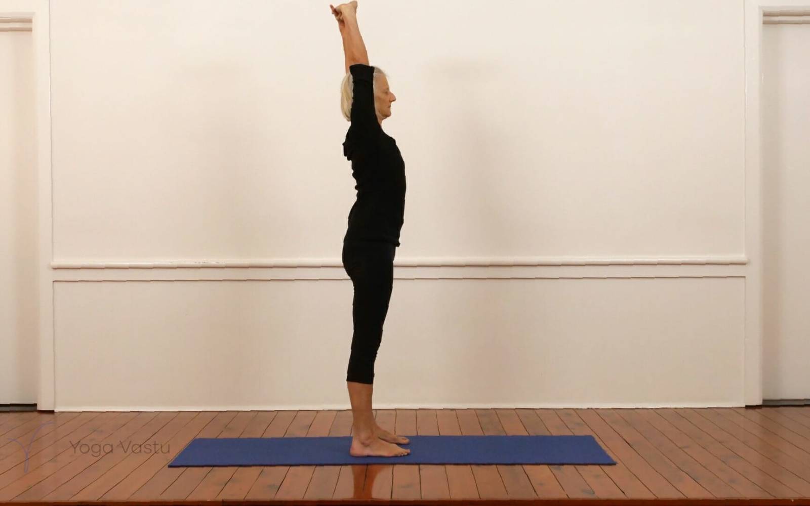 Online Iyengar yoga videos | Shoulders, abdominals plus inversions miscellaneous (215)