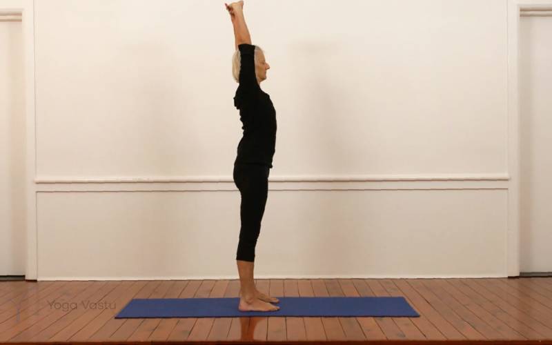 Plough Pose (Halasana) | Iyengar Yoga