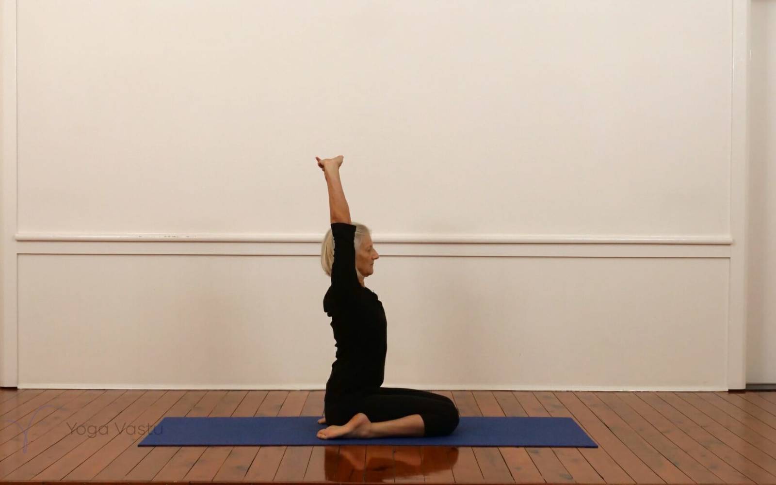 Online Iyengar yoga videos | Shoulders, abdominals plus inversions miscellaneous (215)