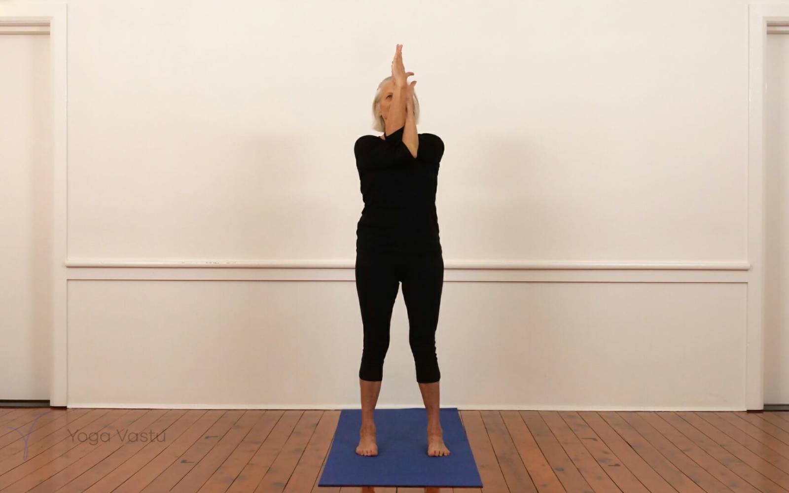 Online Iyengar yoga videos | Shoulders, abdominals plus inversions miscellaneous (215)
