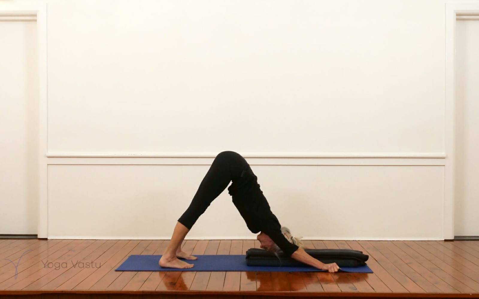Online Iyengar yoga videos | General level sitting, restorative and lying pranayama (214)