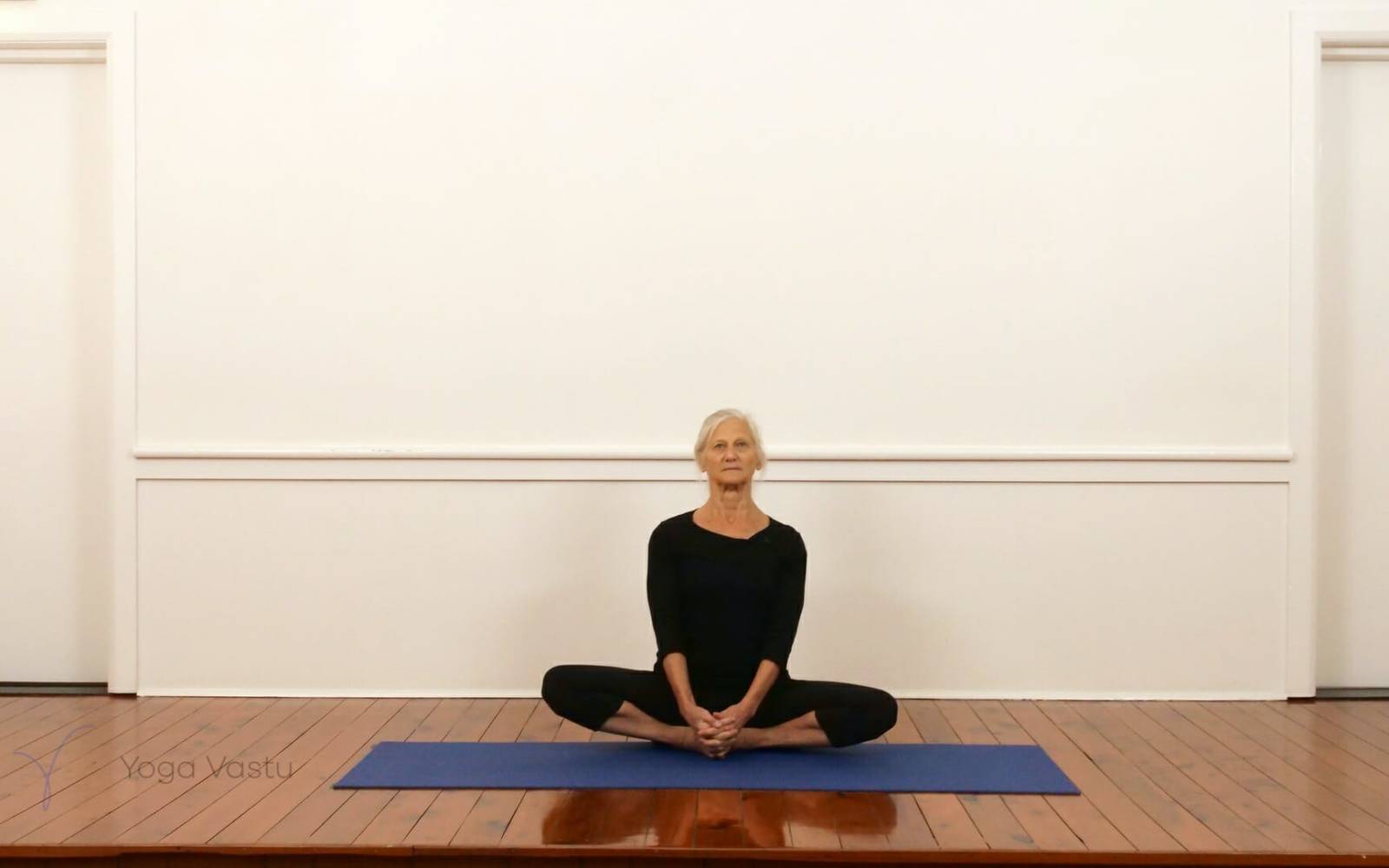 Online Iyengar yoga videos | General level sitting, restorative and lying pranayama (214)