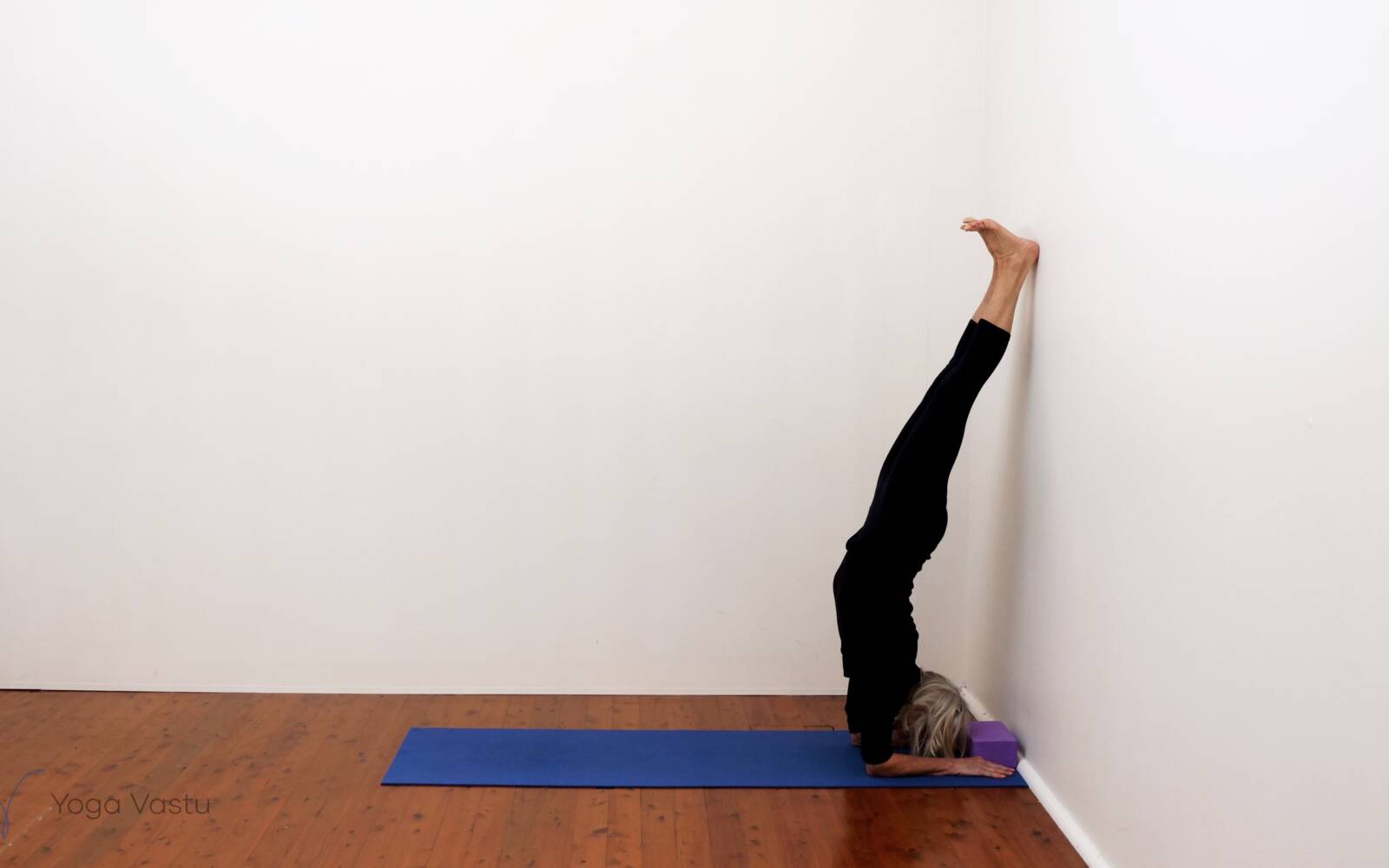 Online Iyengar yoga videos | Standing Poses to Facilitate Progress