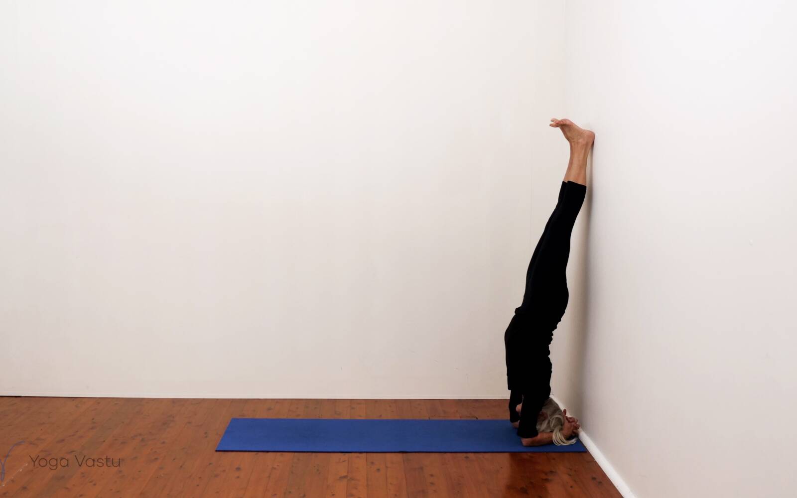 Online Iyengar yoga videos | Standing Poses to Facilitate Progress