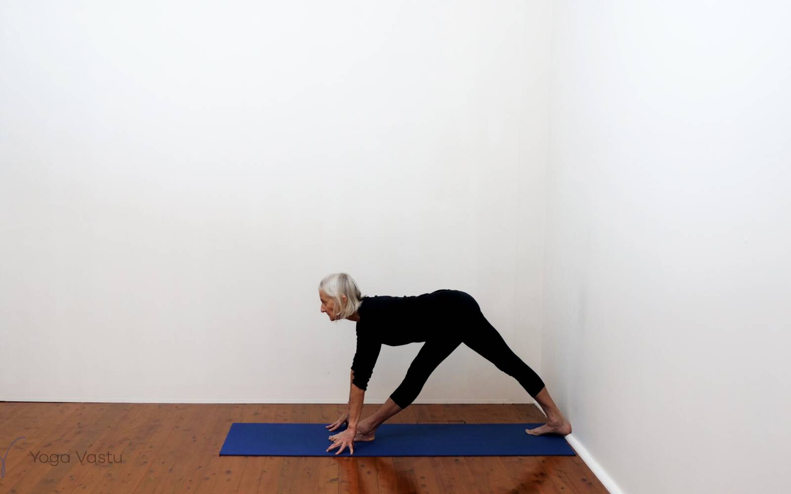 Online Iyengar yoga videos | Standing Poses to Facilitate Progress