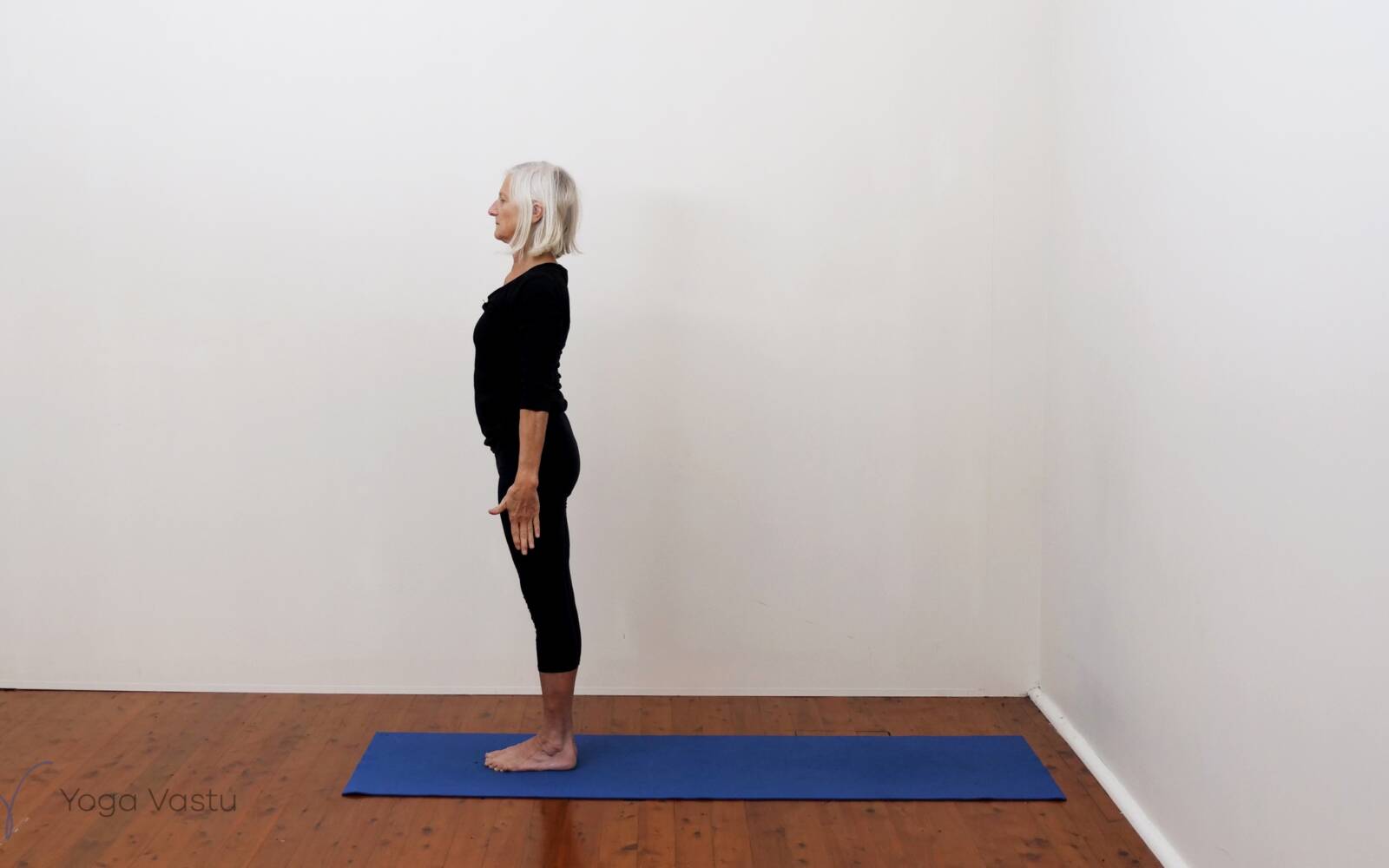 Online Iyengar yoga videos | Advanced Backbends to Further Your Practice