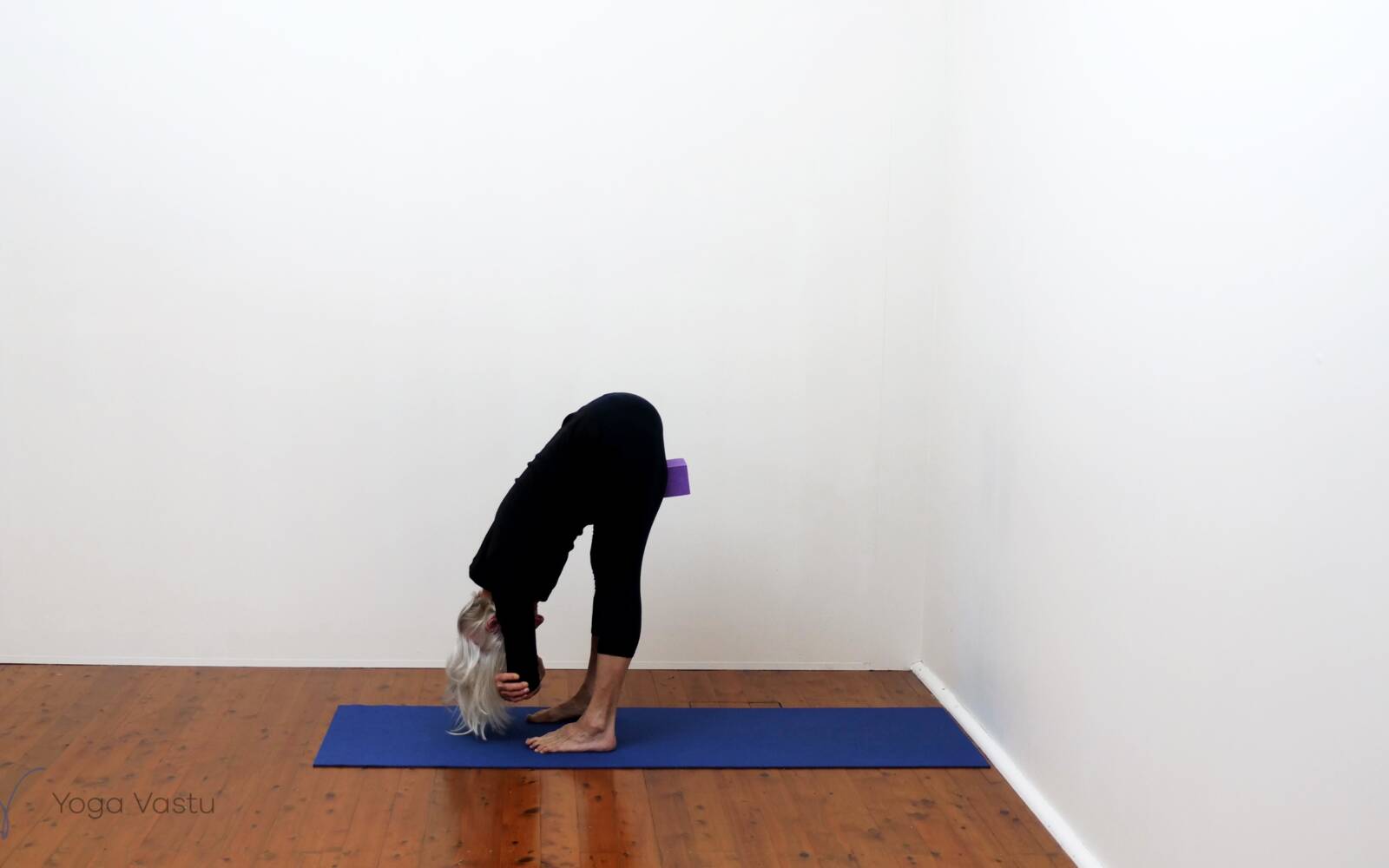 Online Iyengar yoga videos | Standing Poses to Facilitate Progress