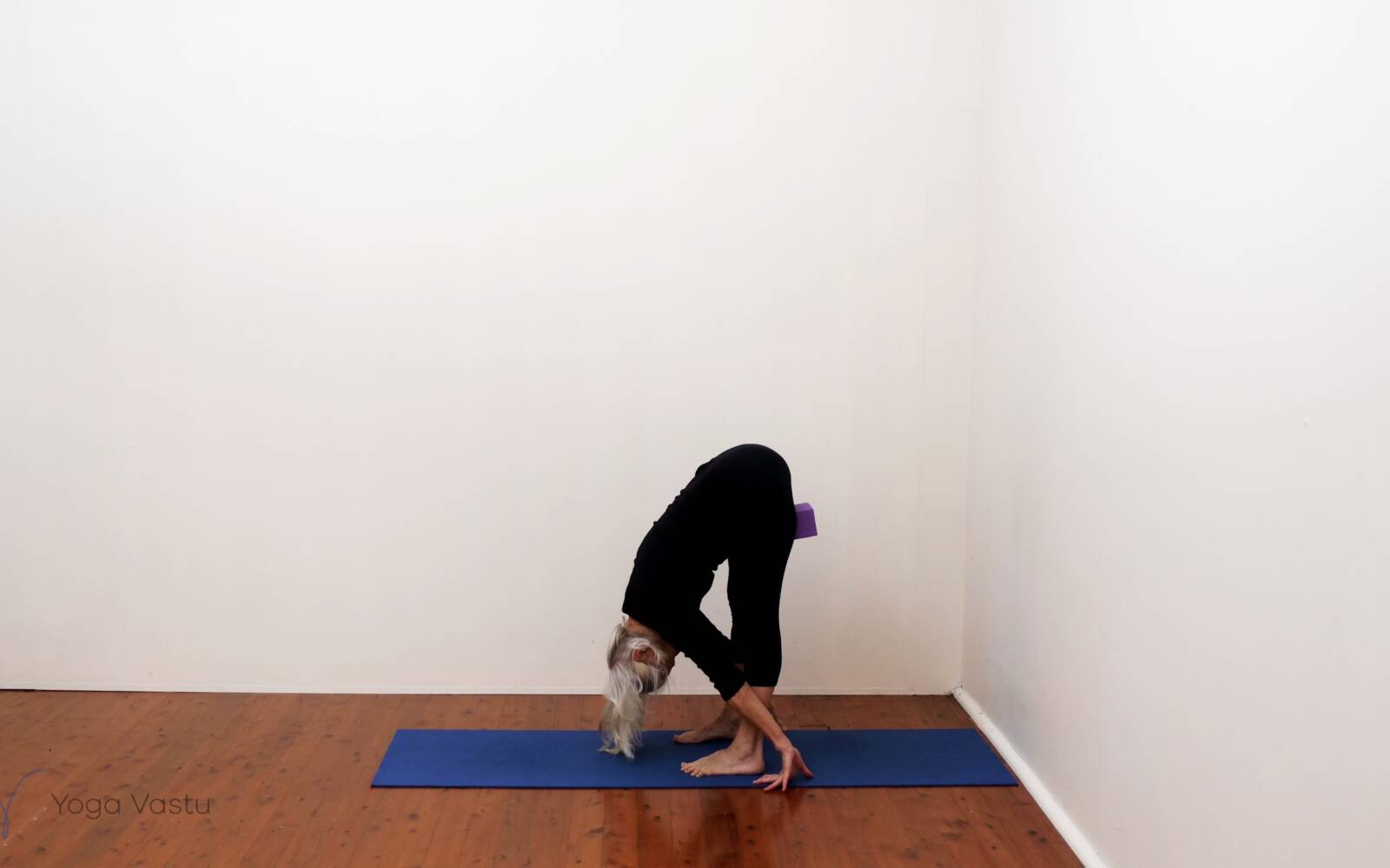 Online Iyengar yoga videos | Standing Poses to Facilitate Progress