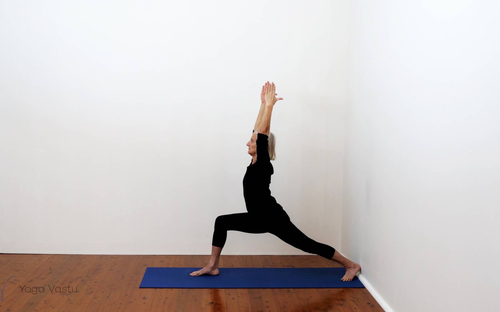 Online Iyengar yoga videos | Standing Poses to Facilitate Progress