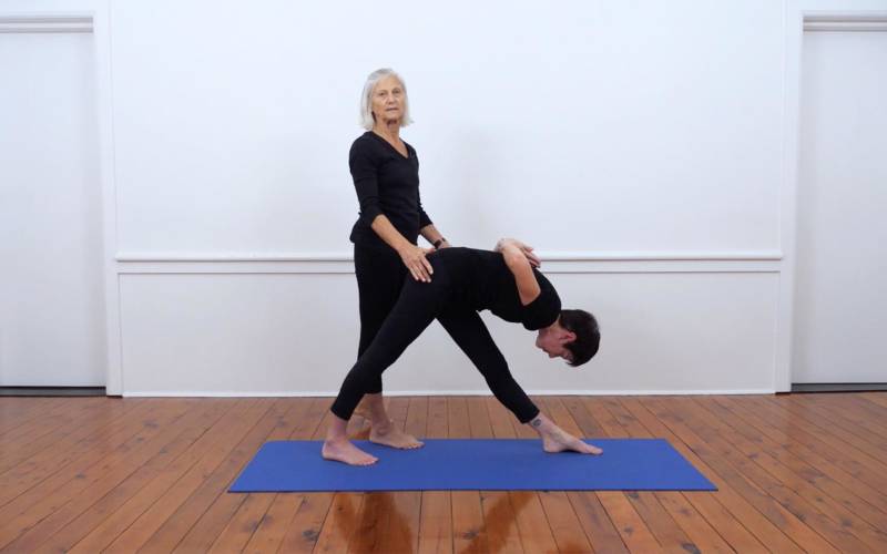 Parsvottanasana (Intense Side Stretch Pose)