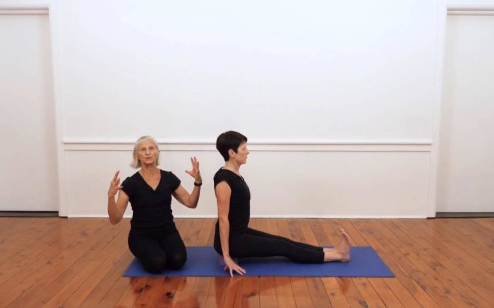 Online Iyengar yoga videos | Standing pose sequence to develop your foundations