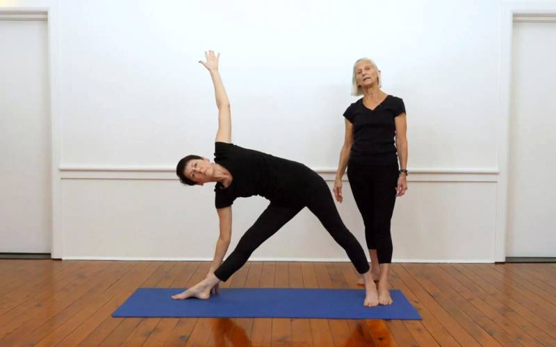 Iyengar yoga video thumbnail: Short dynamic and energizing sequence
