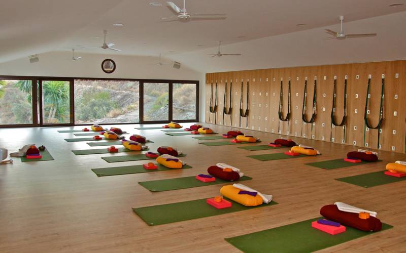 Iyengar yoga video thumbnail: Contemplative Practice