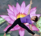 Iyengar yoga video thumbnail: Yoga Centre of Rossmoyne