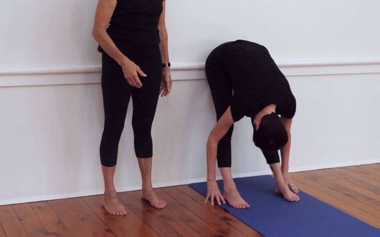Online Iyengar yoga videos | Daily sequence focusing on sitting poses and forward bends