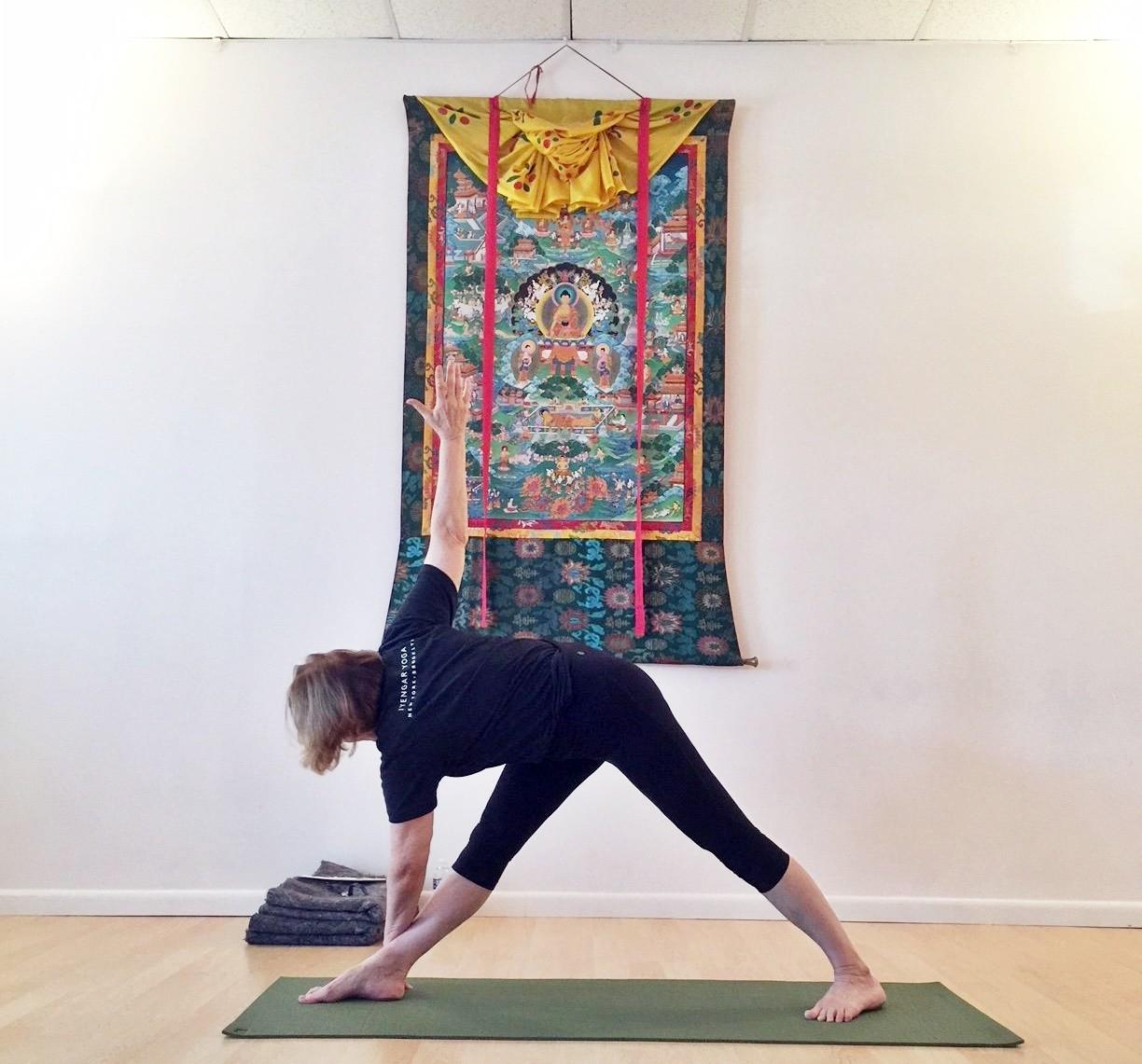 Susquehanna Yoga and Meditation Iyengar yoga studio in Maryland