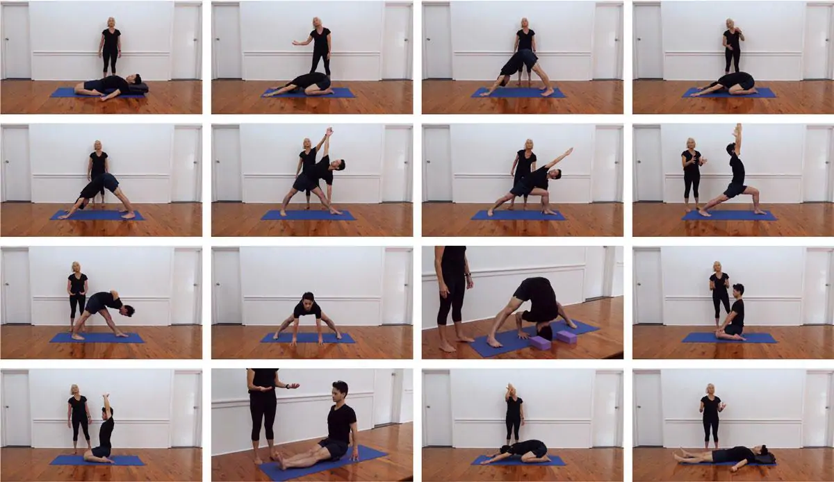 Iyengar yoga online, Videos, audio & sequences