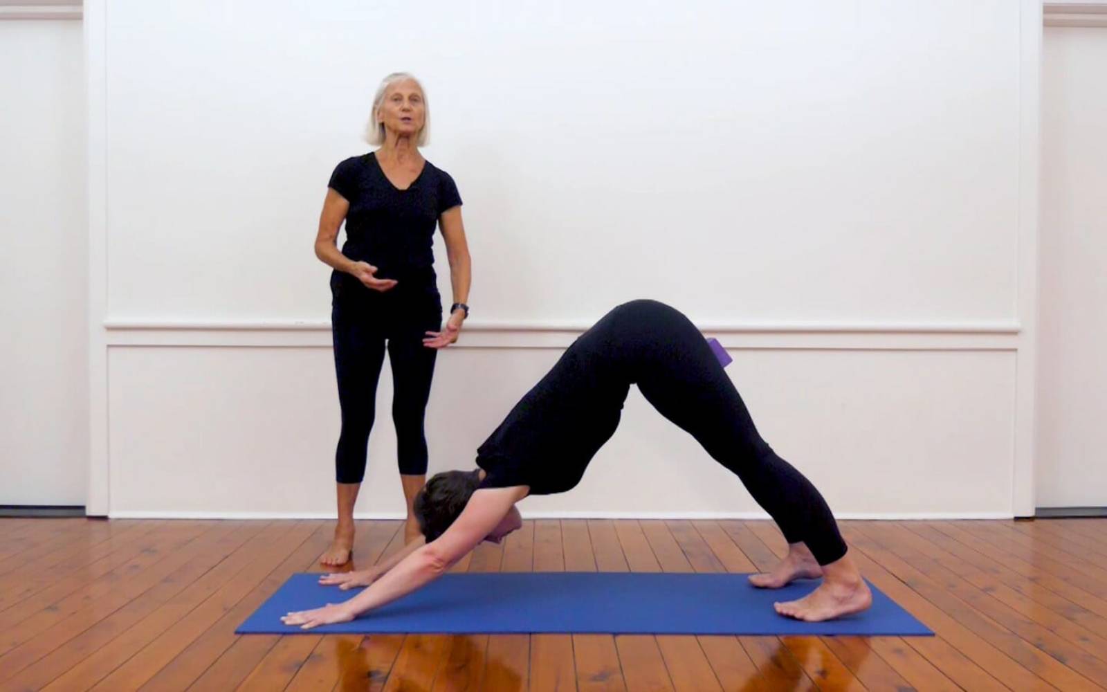 Iyengar Yoga Workshop--Spine Care