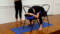 Iyengar yoga video thumbnail: Relief for tight and sore back muscles