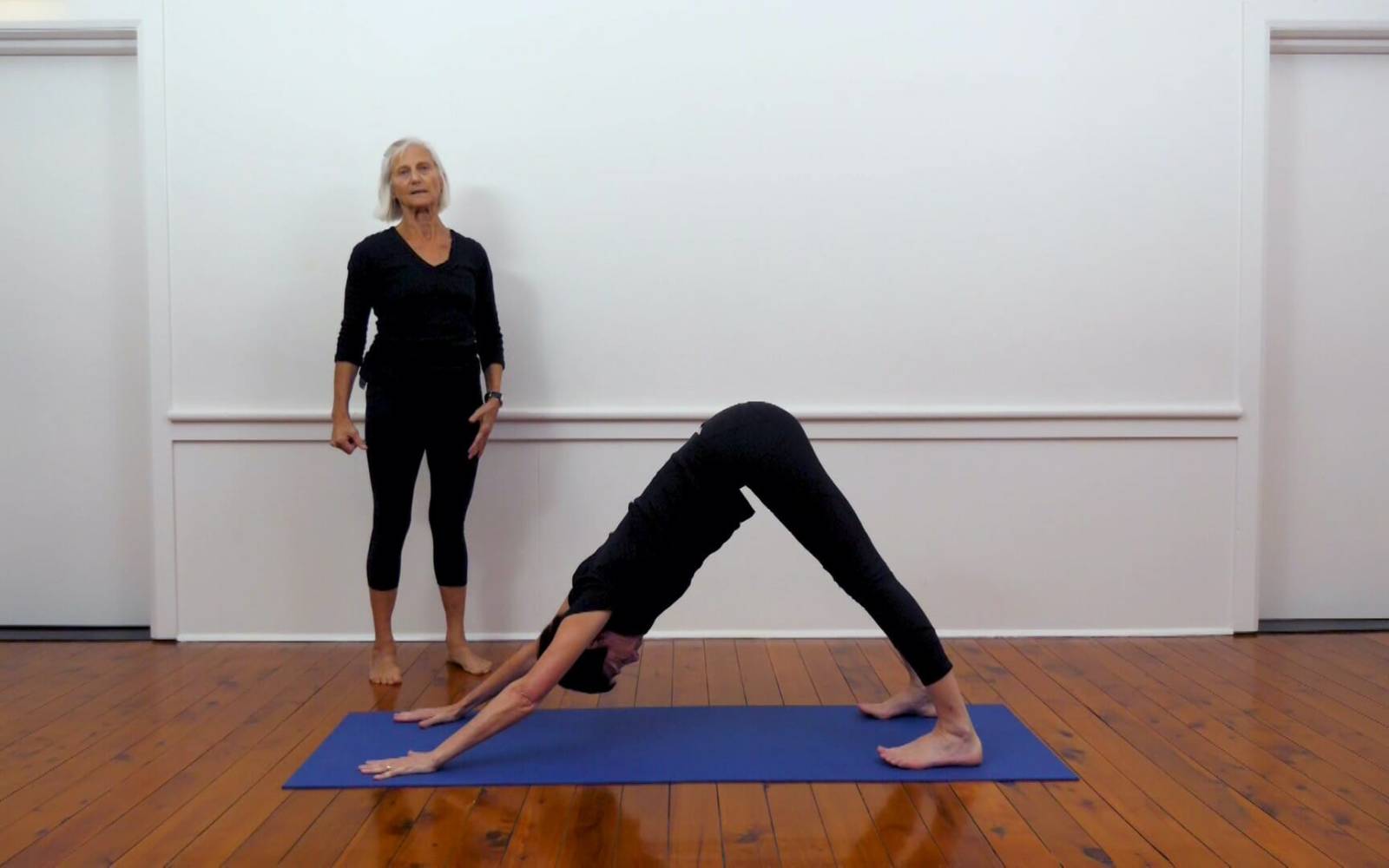 Online Iyengar yoga videos | Adapting your class practice for stiff hips