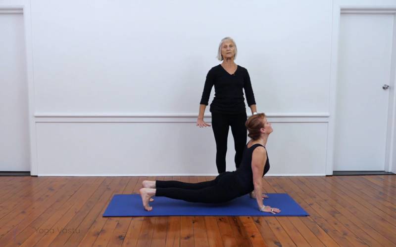 Strengthening your Iyengar yoga foundations | Yoga Vastu