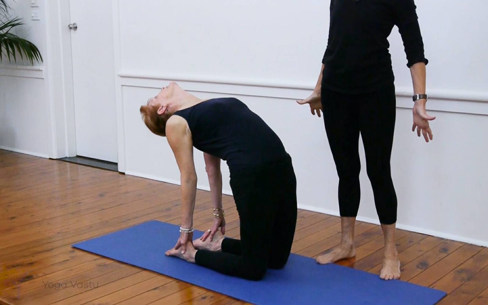 How to Do Camel Pose | Ustrasana | Yoga Backbends - YouTube