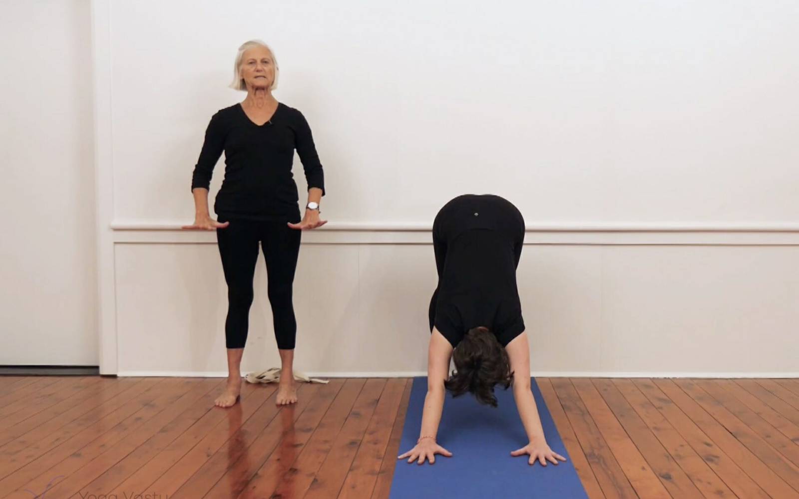 Online Iyengar yoga videos | Mini-sequence for opening the hips and releasing the lower back