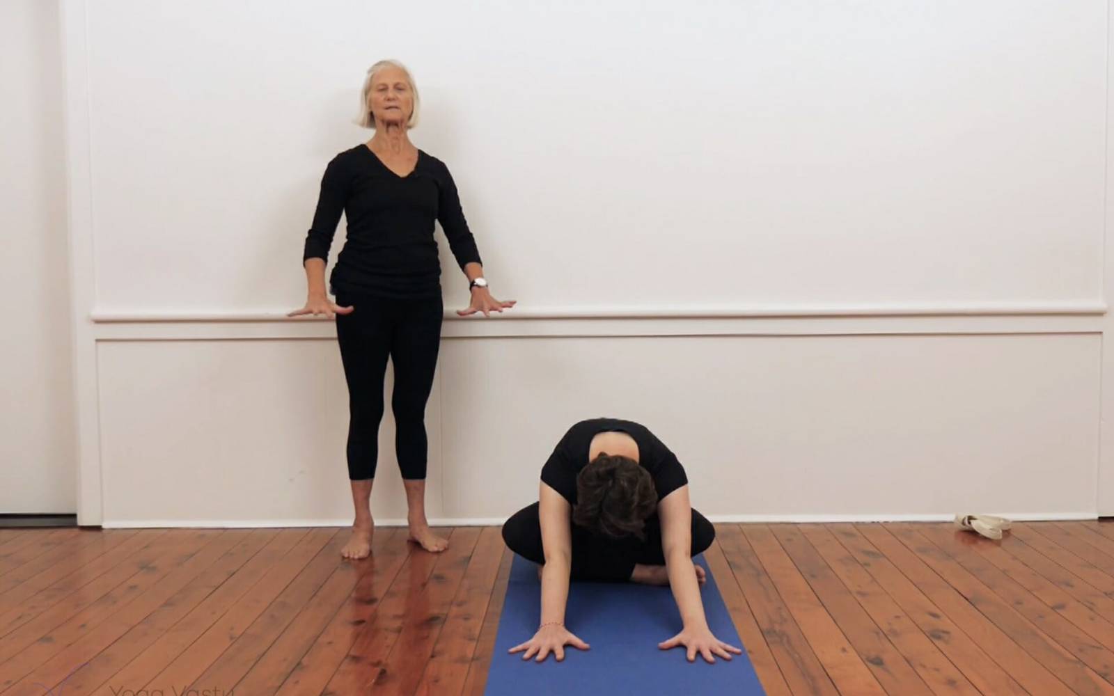 Online Iyengar yoga videos | Mini-sequence for hips and knees