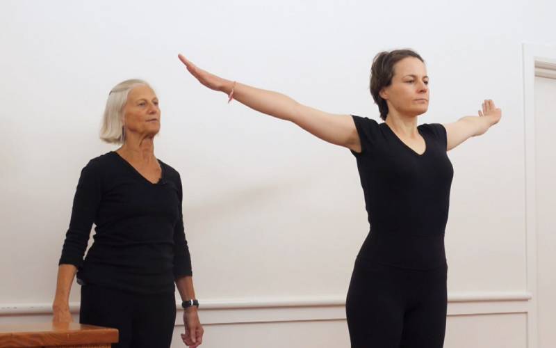 Iyengar yoga in under 10 minutes (mini sequences) - Yoga Vastu