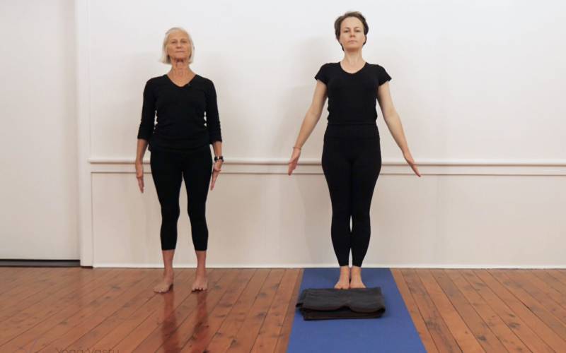 Iyengar yoga in under 10 minutes (mini sequences) - Yoga Vastu