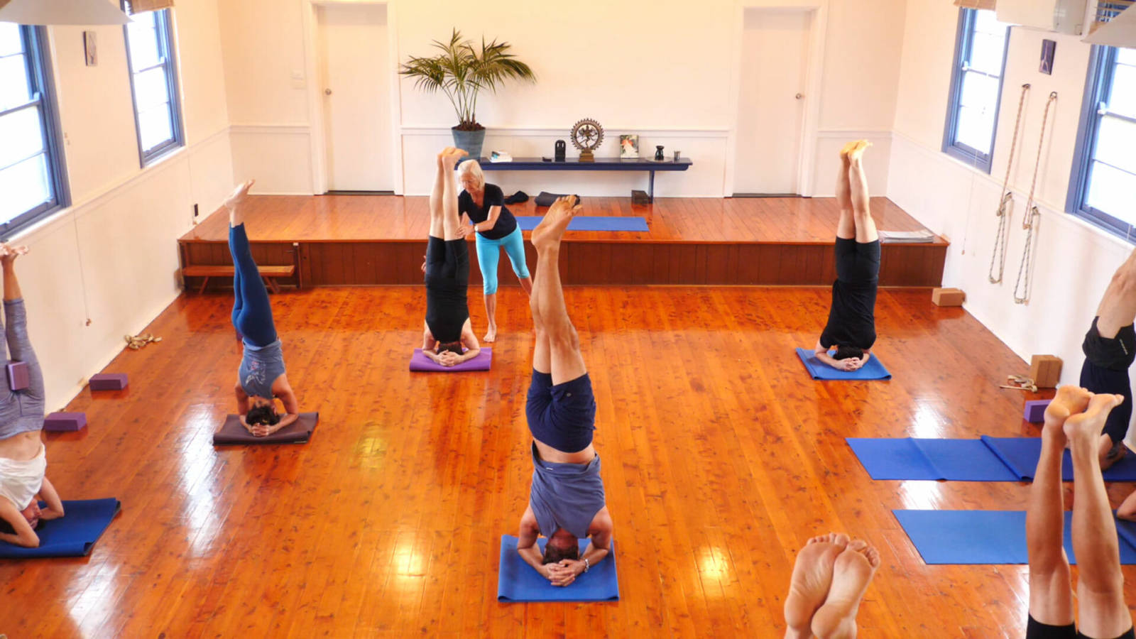 Forward Bends for Intermediate Students (301)