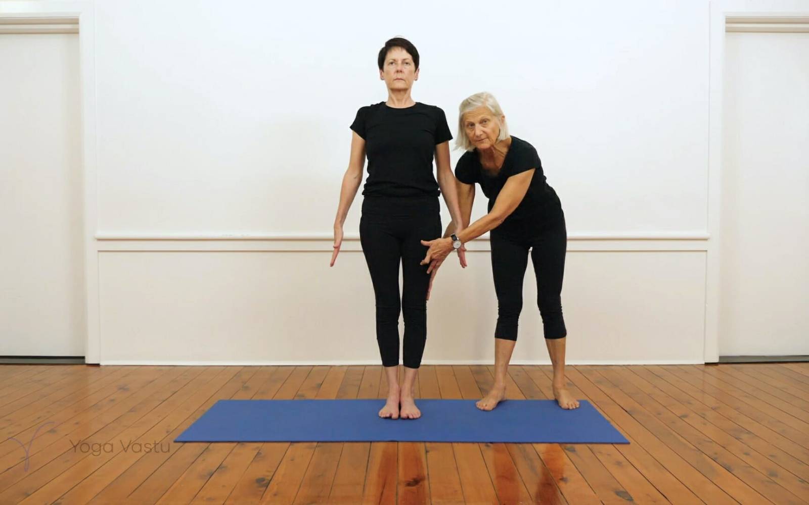 Woman Yoga Exercices Tadasana Mountain Pose Stock Image - Image of tadasana,  workout: 174251571