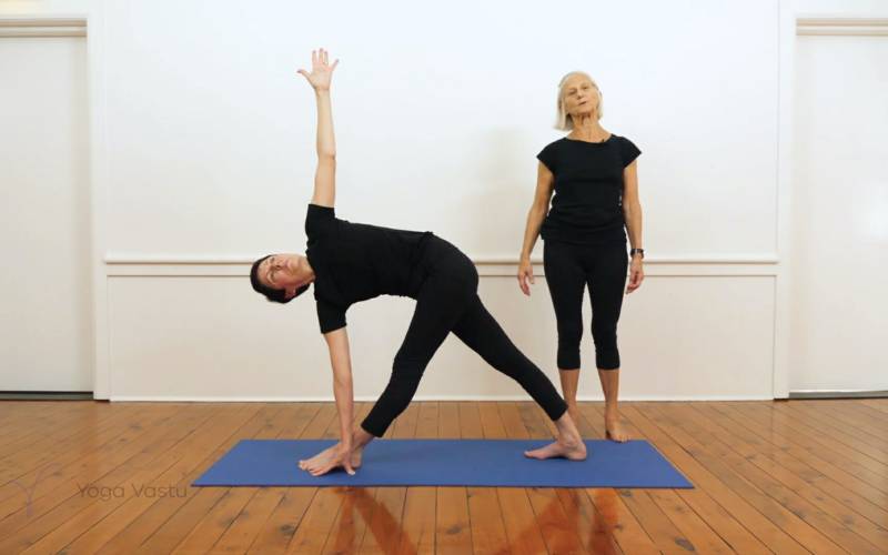 Parivritta Trikonasana pose