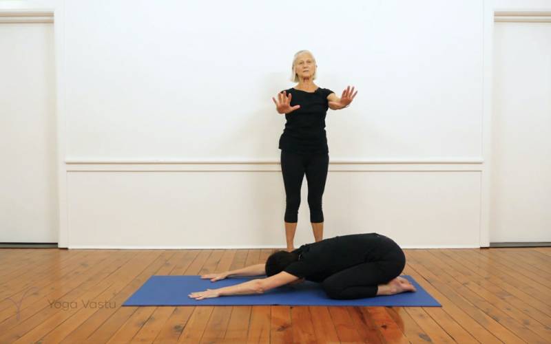 Revolved Side Angle Pose (Parivritta Parsvakonasana) | Iyengar Yoga