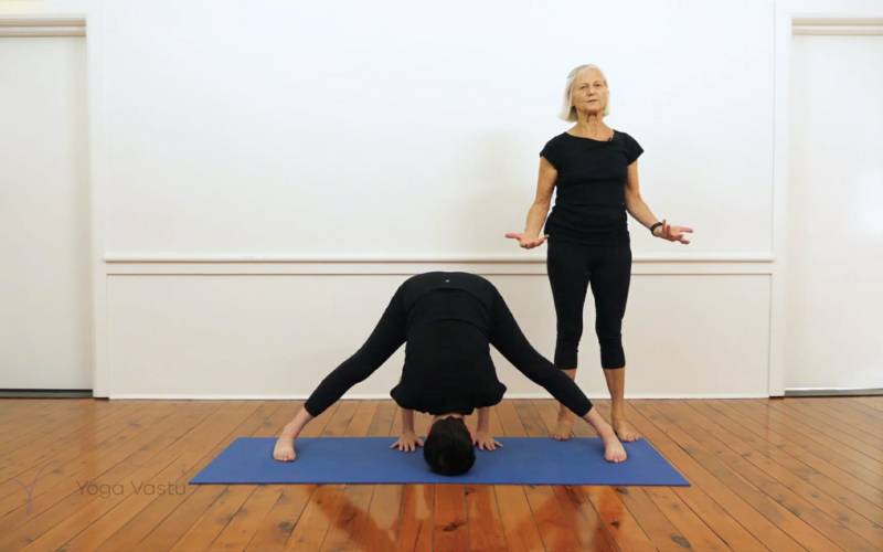 Revolved Side Angle Pose (Parivritta Parsvakonasana) | Iyengar Yoga