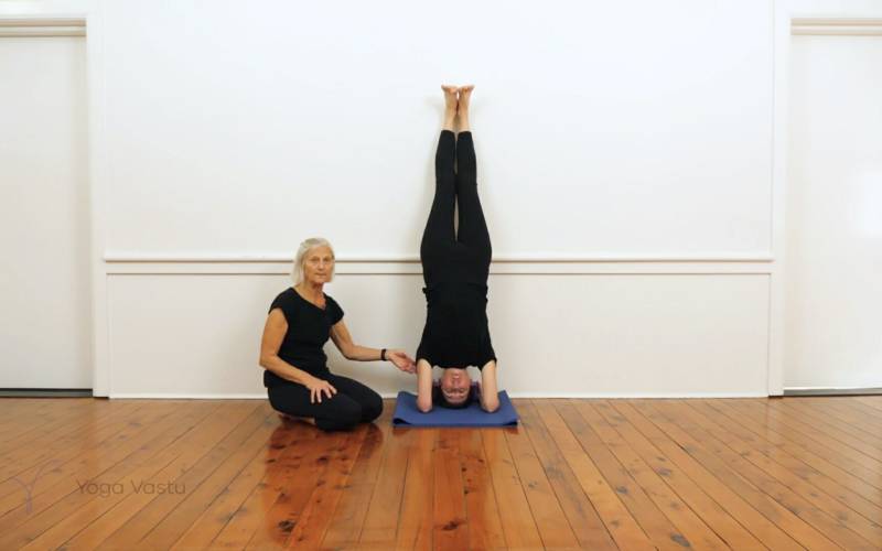 Revolved Side Angle Pose (Parivritta Parsvakonasana) | Iyengar Yoga