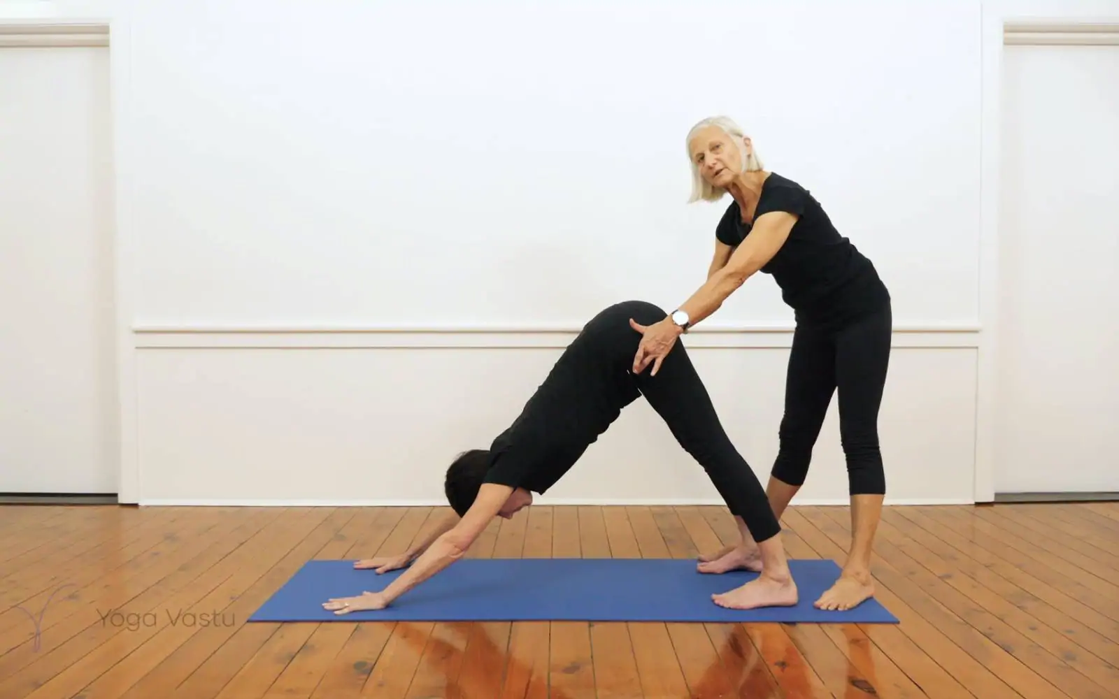 Downward Dog – 10 Tips to Get the Most Out of Yoga's Most Famous Posture –  OrcaNation