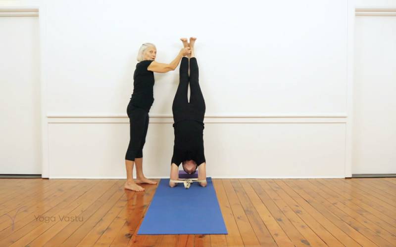 Revolved Side Angle Pose (Parivritta Parsvakonasana) | Iyengar Yoga
