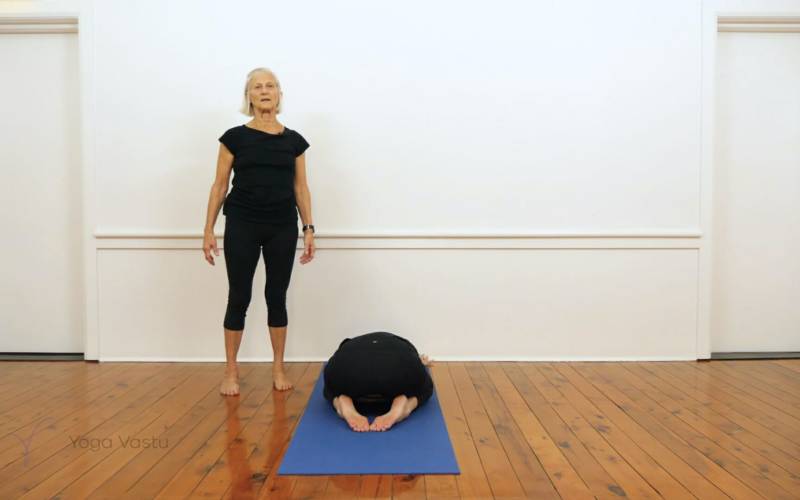 Revolved Side Angle Pose (Parivritta Parsvakonasana) | Iyengar Yoga