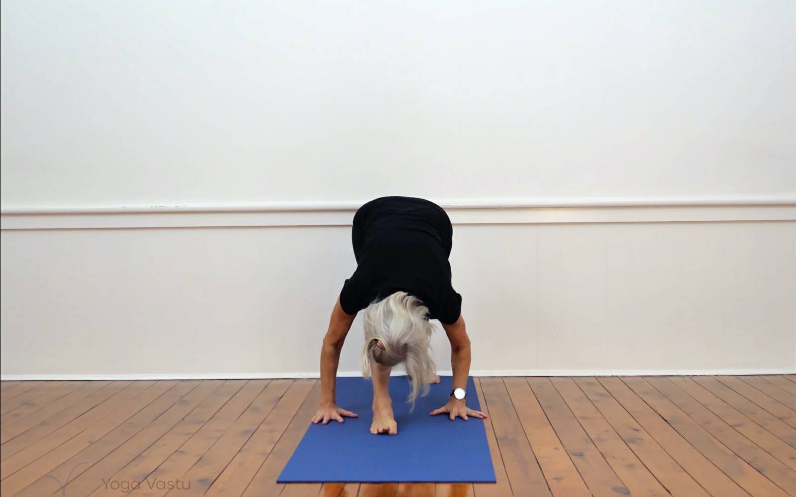 Online Iyengar yoga videos | Immune support and nerve calming sequence