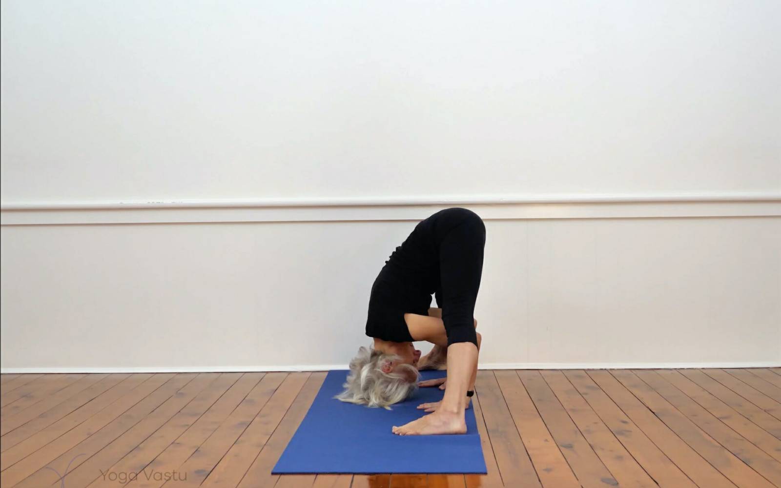 Online Iyengar yoga videos | Immune support and nerve calming sequence