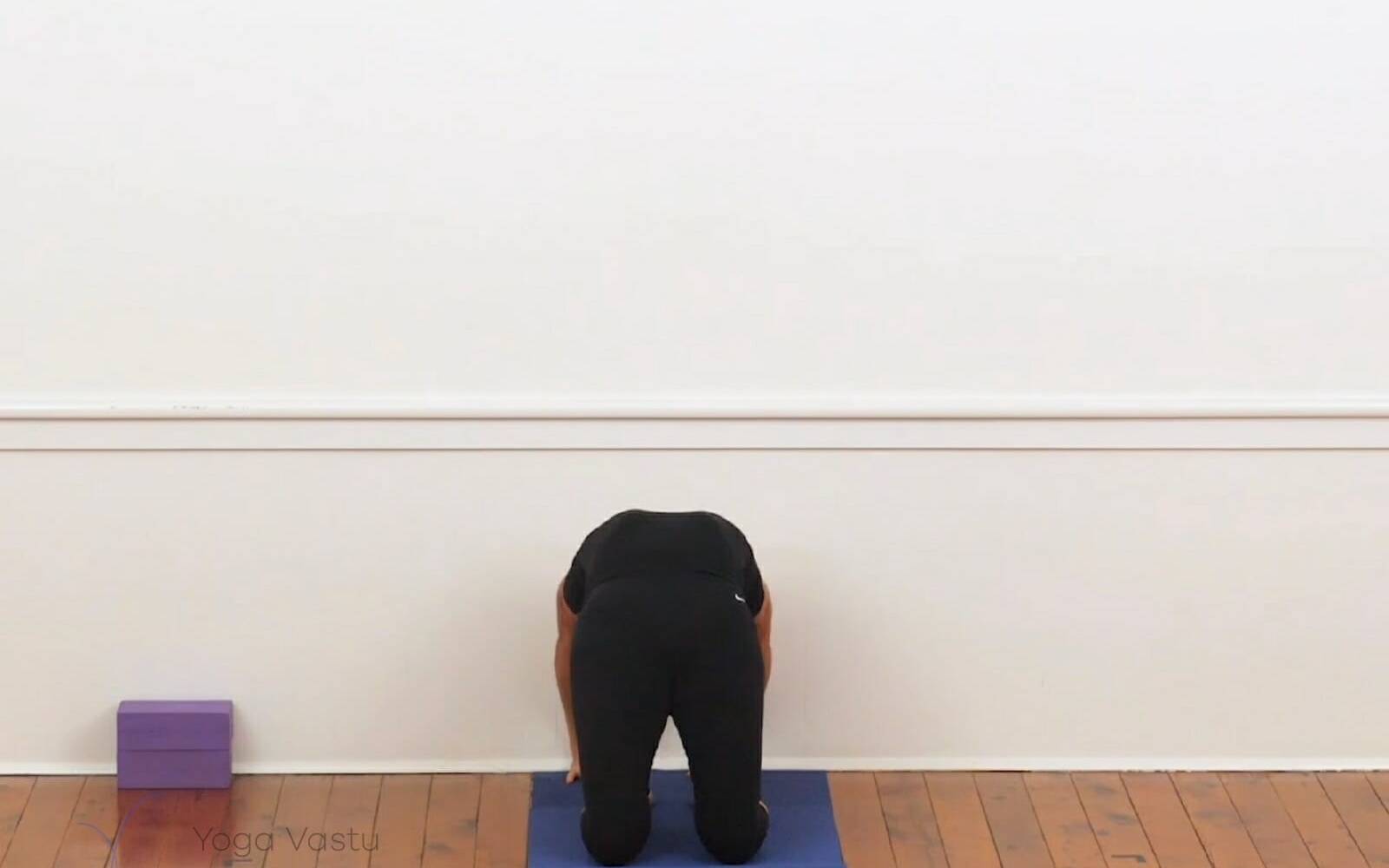 Online Iyengar yoga videos | Backbends for Experienced Students (407)