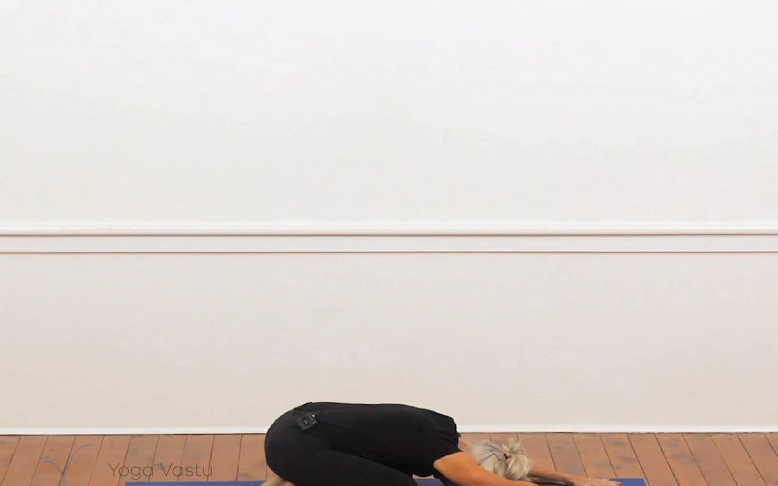 Online Iyengar yoga videos | Backbends for Experienced Students (407)