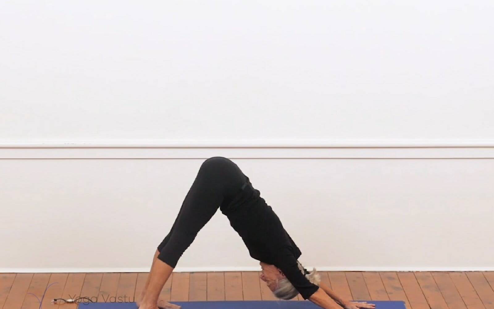 Online Iyengar yoga videos | Backbends for Experienced Students (407)