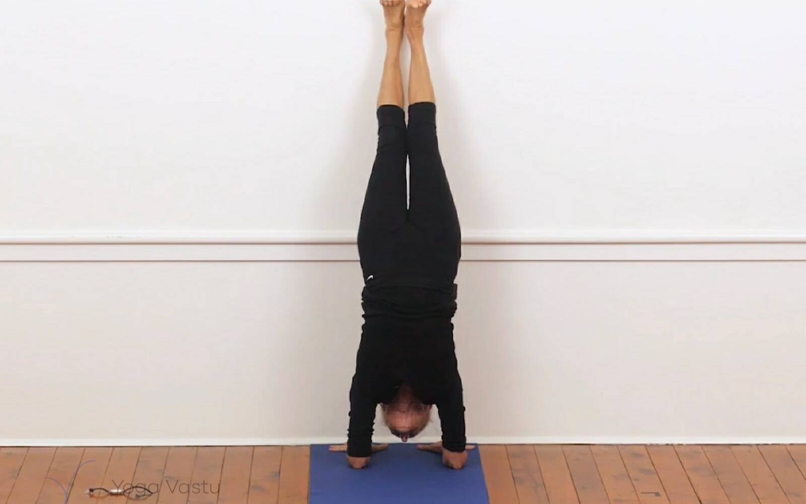 Online Iyengar yoga videos | Backbends for Experienced Students (407)
